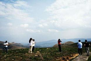 电视剧将夜手机在线播放,穿越玄幻世界的奇幻之旅