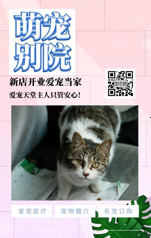 韩国日本秋霞,东西方文化交融的璀璨明珠