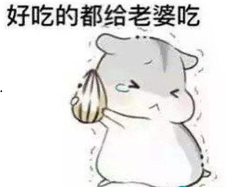 老公你快来,揭秘夫妻间的温馨瞬间与甜蜜互动