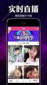 巡茶最新爆料新闻直播回放,最新爆料新闻直播回放深度解析