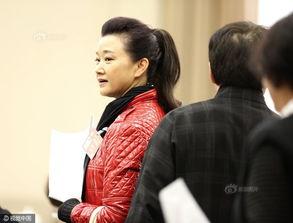 2017明星委员成龙,从动作巨星到两会委员，见证时代变迁的传奇人生