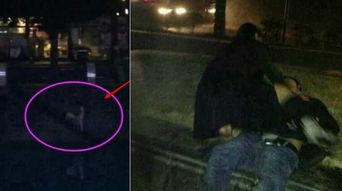 外国激情视频,揭秘外国激情视频背后的故事