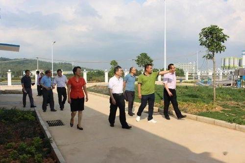 市来美保无码集合下载,独家高清资源一网打尽