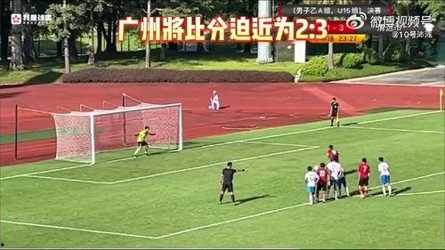 辽宁爆料假球视频最新网站,揭秘足球黑幕，最新网站揭露惊人真相