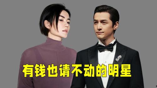 请明星多少钱,明星身价几何？