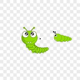 毛毛虫视频大全,趣味科普，带你走进昆虫世界