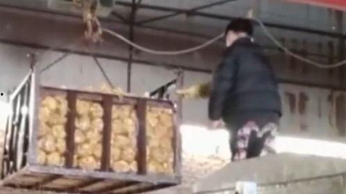 消毒液爆料视频大全,爆款视频大全深度解析