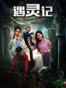 遇灵记手机在线播放,穿越时空的神秘之旅