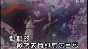 雨樱花视频,雨樱花视频赏析