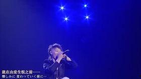 原野牧歌日本,探寻日本自然与人文的和谐交响