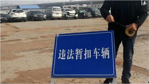 郑州交警最新爆料,揭秘交通违法背后的惊人真相