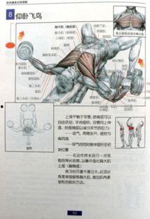 男子在家健身视频教程,高效塑形，轻松打造完美身材