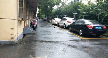 江南新村爆料视频最新,揭秘社区生活新动态