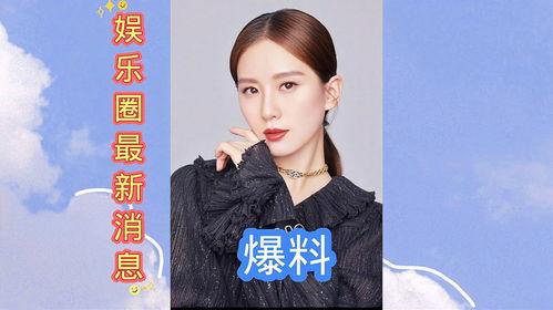 娱乐圈爆料模板最新,当红明星感情纠葛大揭秘！