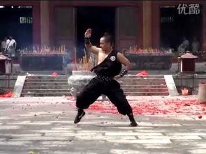 伏虎拳视频,传统武术与现代视角下的对决