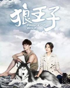 狼王子全集免费在线观看,免费在线观看，探寻神秘森林的奇幻冒险之旅