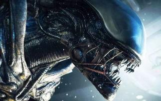 在线观看异行.契约,穿梭时空的神秘之旅